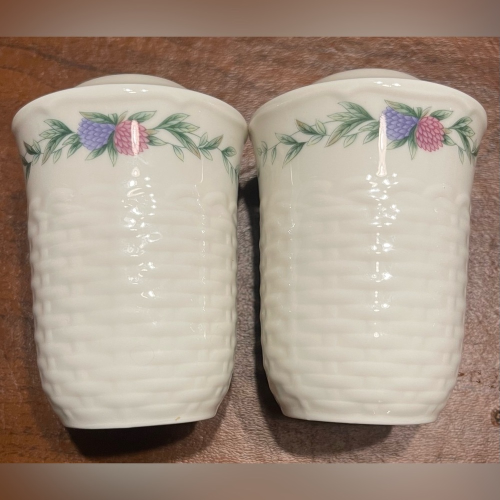Noritake Conservatory Salt & Pepper Shakers